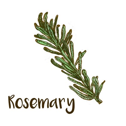 Framed Rosemary Print