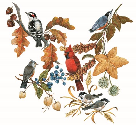 Framed Fall Birds Print