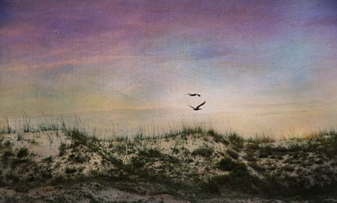 Framed Wings of Dawn Print