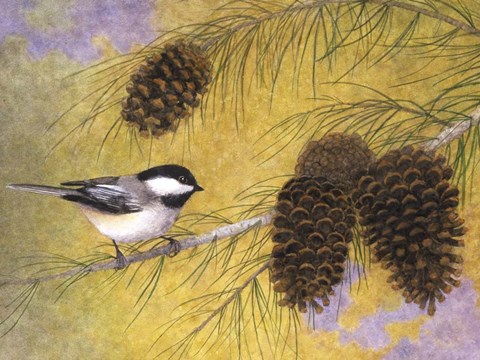 Framed Chickadee in the Pines I Print