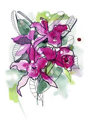 Framed Magenta Orchids Print