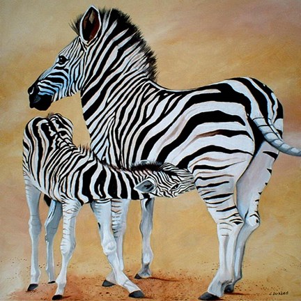 Framed Zebra Bonding Print