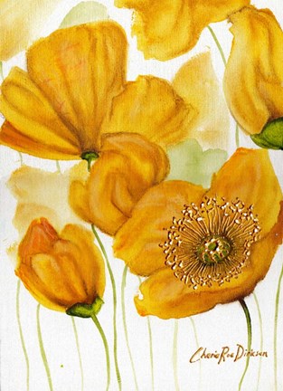 Framed Yellow Poppies Print