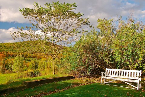 Framed New Hampshire, Sugar Hill, Bench Print