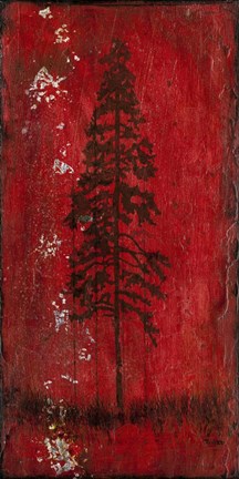 Framed Lodge Pole Pine Print