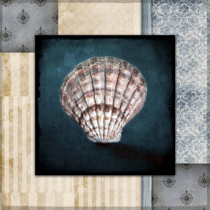 Framed Blue Sea Clam Shell 2 Print