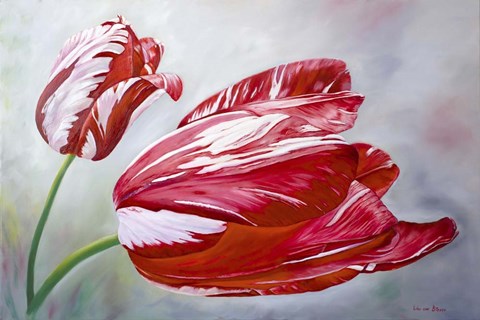 Framed English Tulips Print