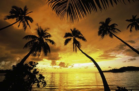 Framed Sunset with palms Fiji Print