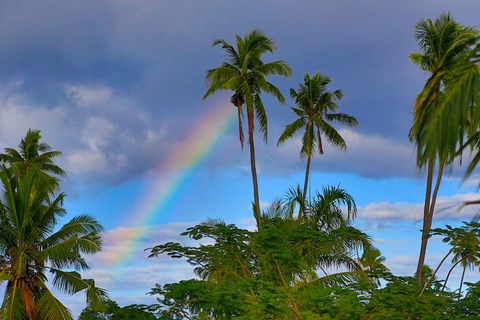 Framed Rainbow, Taveuni, Fiji Print