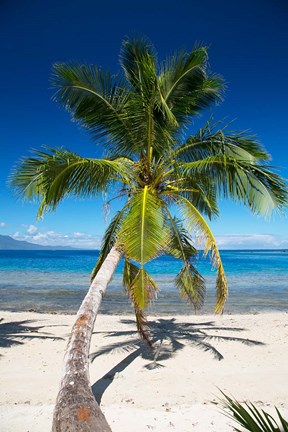 Framed Beach, Waitatavi Bay, Vanua Levu, Fiji Print