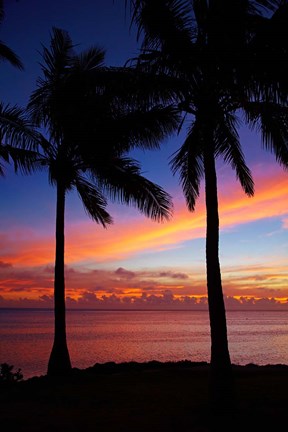 Framed Sunset and palm trees, Coral Coast, Viti Levu, Fiji Print