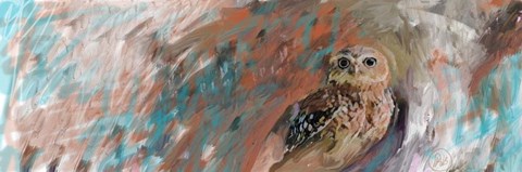 Framed Owl Panel Print