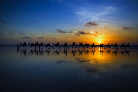 Framed Sunset Camel Ride Print