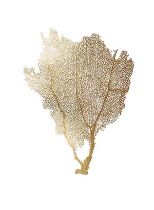 Framed Gold Foil Sea Fan I Print