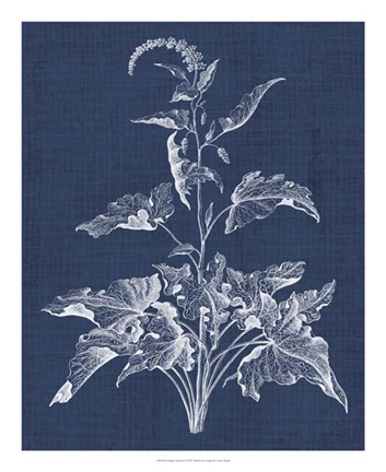 Framed Foliage Chintz II Print