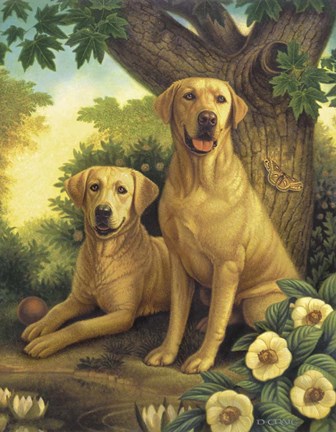 Framed Yellow Labs Print