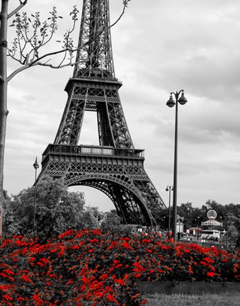 Framed Eiffel Tower with Red Pop Print