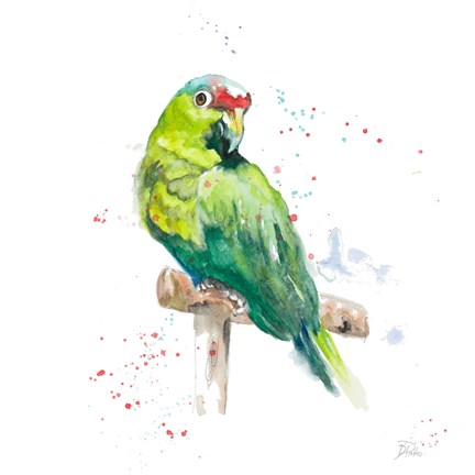 Framed Amazon Parrot II Print