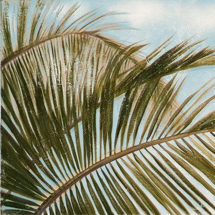 Framed Coconut Palm over Blue I Print