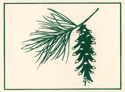 Framed Green Pine Print