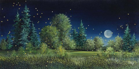 Framed Fireflies Print