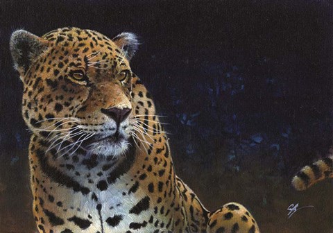 Framed Jaguar Print