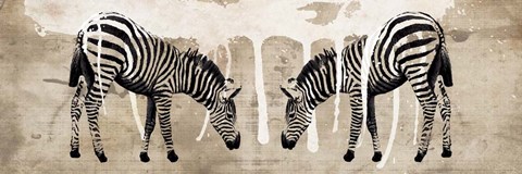 Framed Two Zebras Print