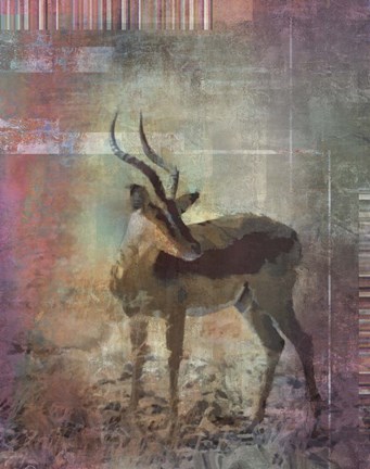 Framed Africa Antelope Print