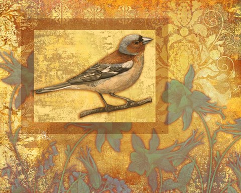 Framed Chaffinch On Golden Background Print