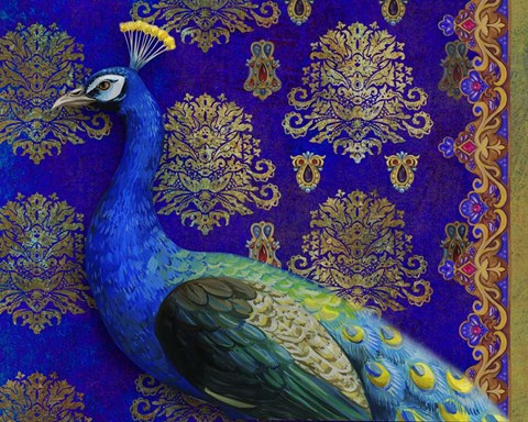 Framed Indian Peacock Print