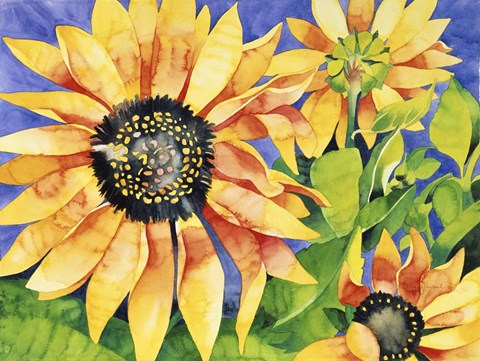 Framed Magic Sunflowers Print