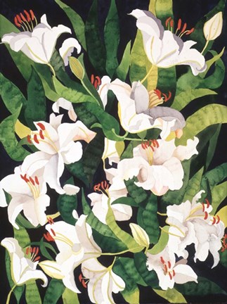 Framed White Lilies Print