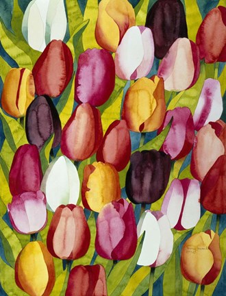 Framed Colorful Tulips Print