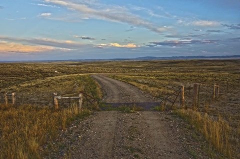 Framed Knowing Which Cattle Guard To Cross Print