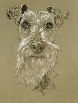 Framed Irish Terrier Print