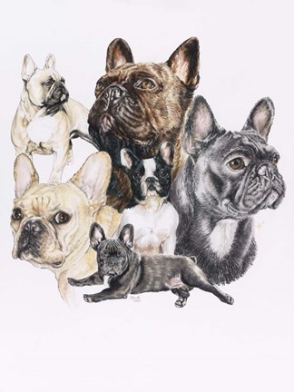 Framed French Bulldog Print