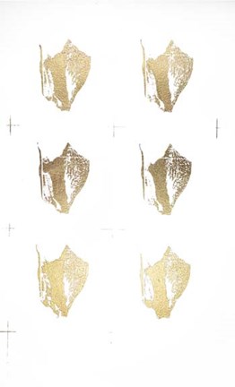 Framed 6-Up Gold Foil Shell III Print