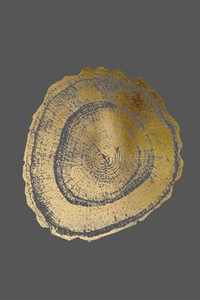 Framed Gold Foil Tree Ring III on Dark Grey Print