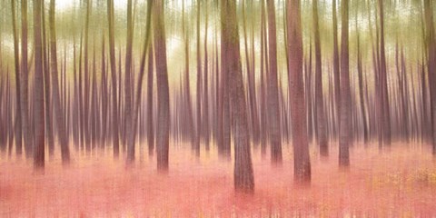 Framed Blurred Trees 5 Print