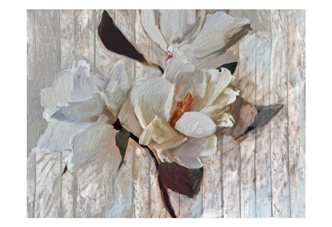 Framed Magnolia1 Print