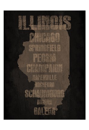 Framed Illinois Silo Print