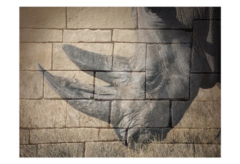 Framed Stone Wall Rhino Print