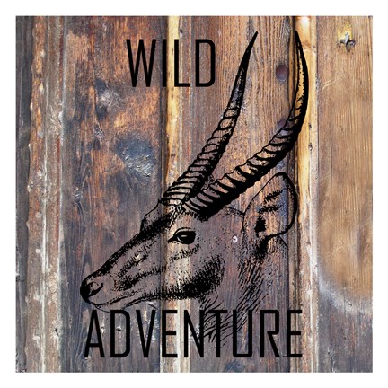 Framed Wild Adventure Print