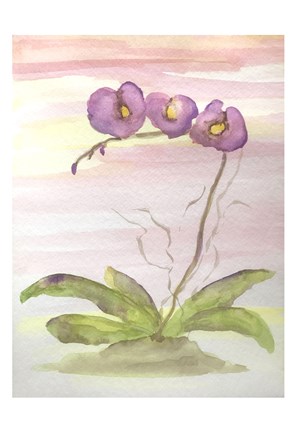 Framed Orchid Trio 2 Print