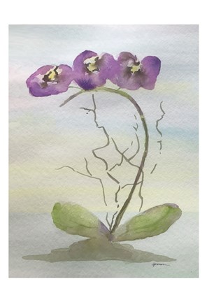 Framed Orchid Duo 2 Print
