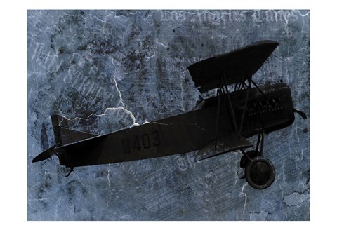 Framed Indigo Plane Print