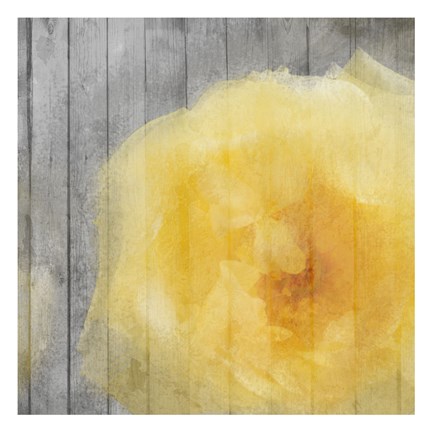 Framed Yellow Bloom Simple Print
