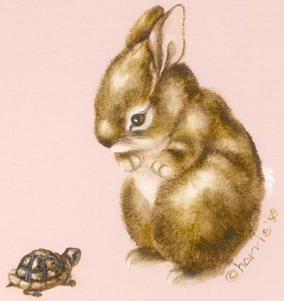 Framed Bunny And Turtle Print