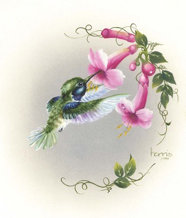 Framed Hummingbird With Trumpet Flowers 2 Print