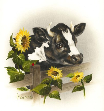 Framed Bull &amp; Sunflowers Print